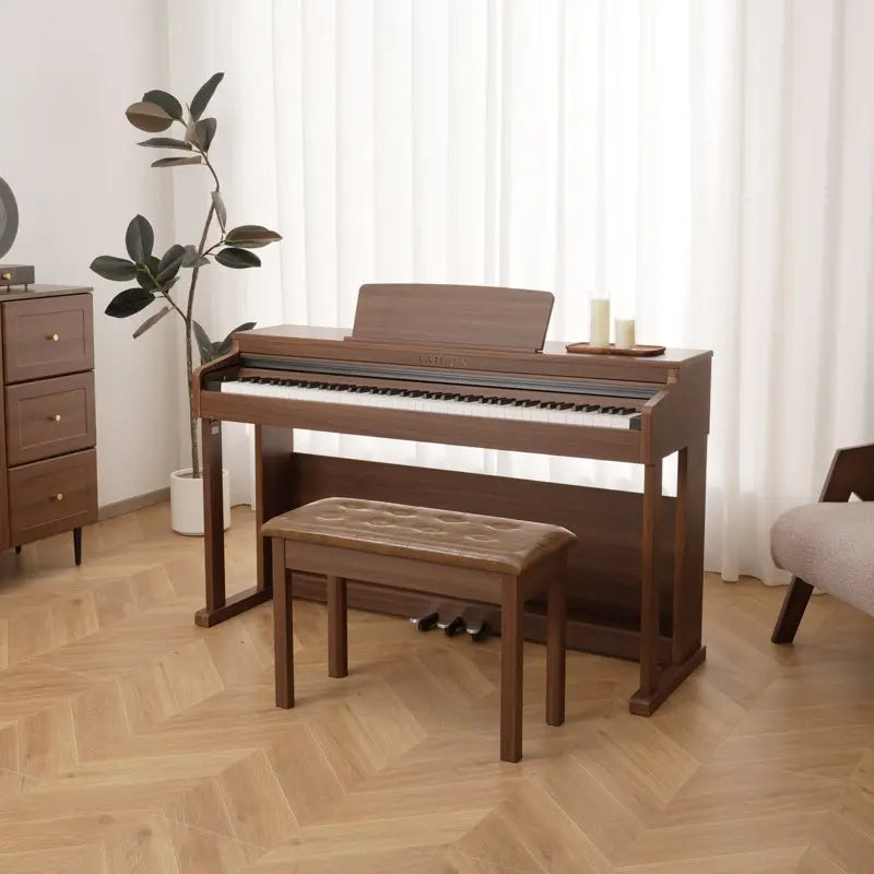 Hailun Digital Piano H202 Pianova