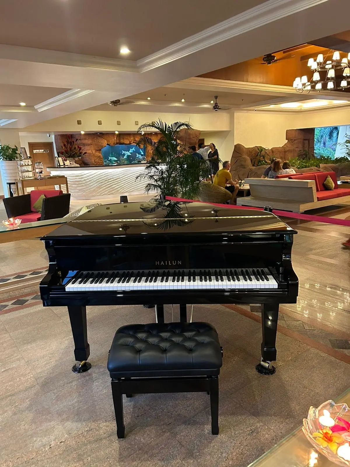 Hailun Grand Piano HG151